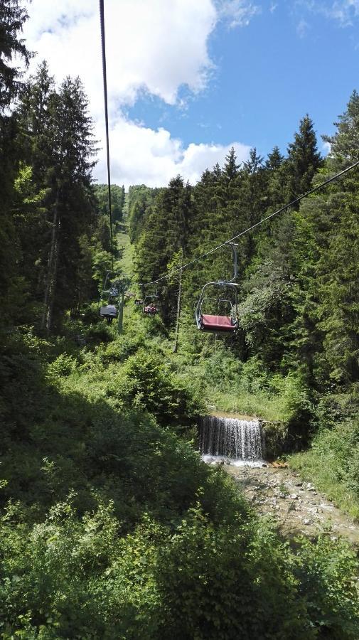 Am Gaensbach * Grassau (Bavaria)